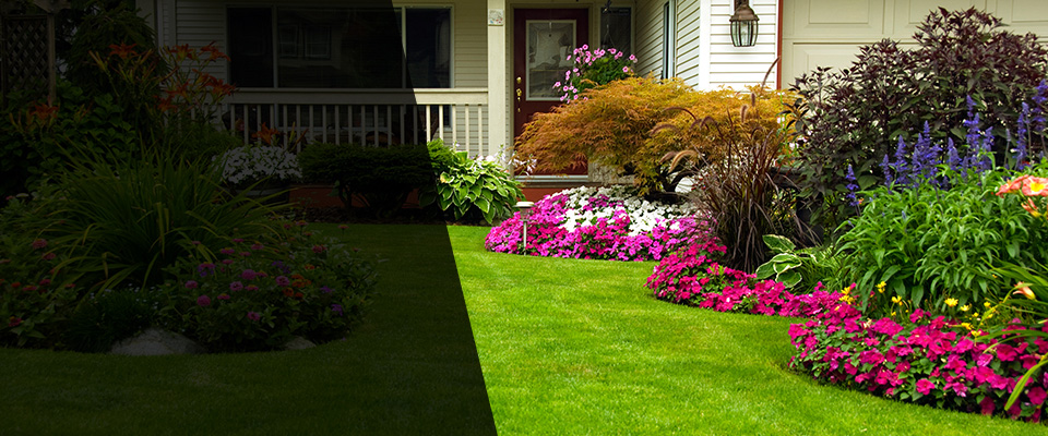 La Palma Landscapers