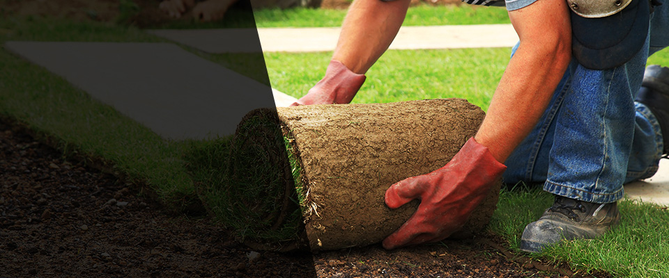 La Palma Landscapers